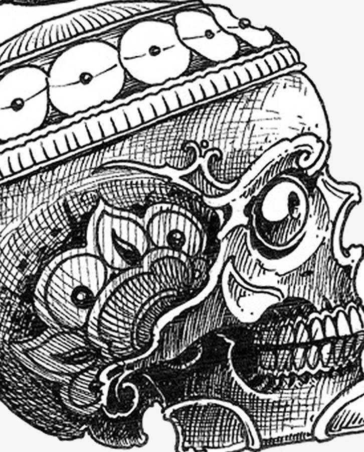 Skulls Book By Filip Leu
