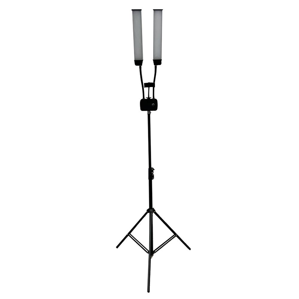 Dual Arm Light