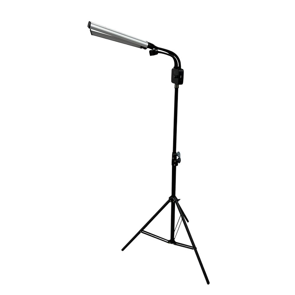 Dual Arm Light